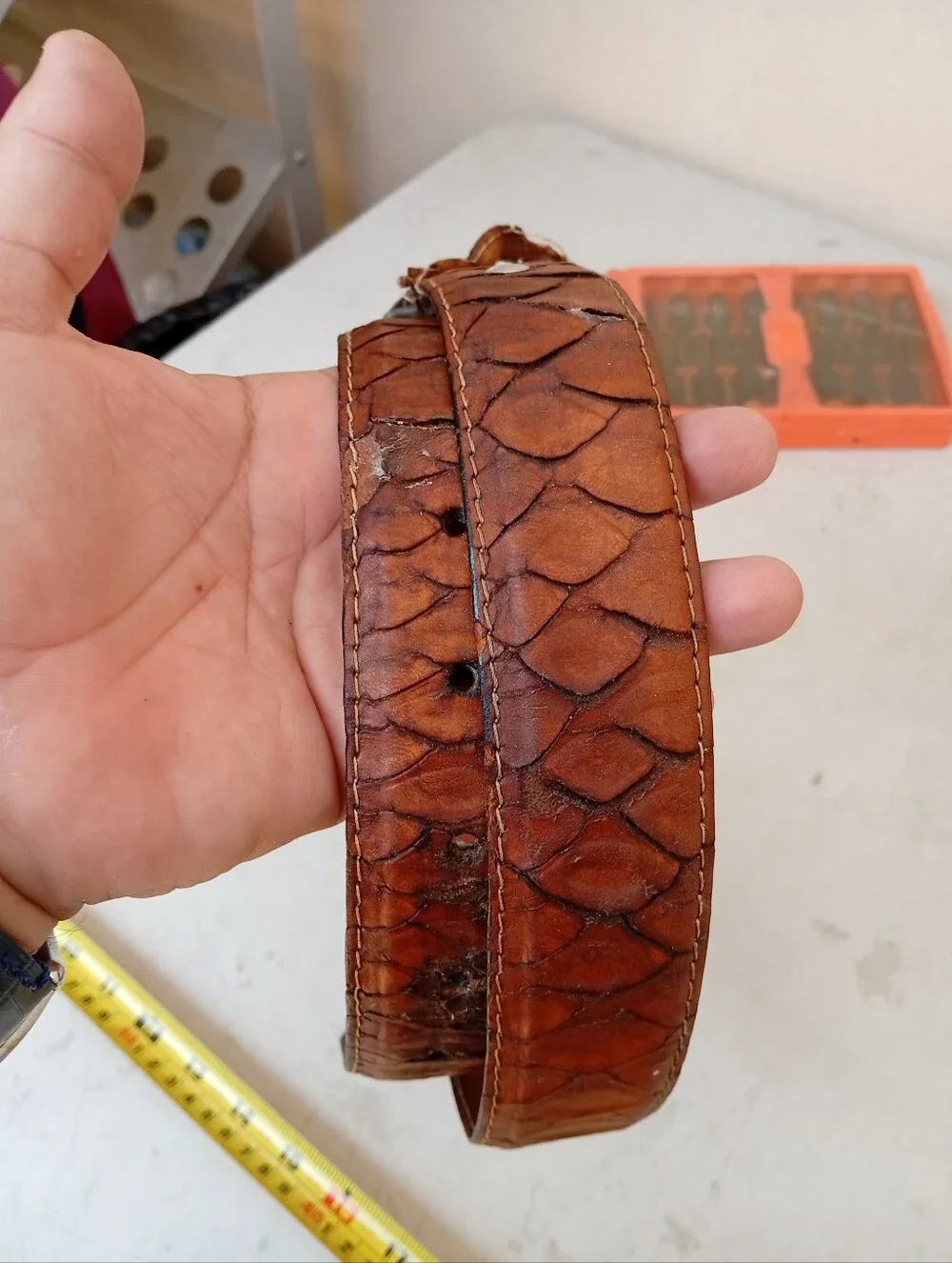Anteater Leather Men’s Belt